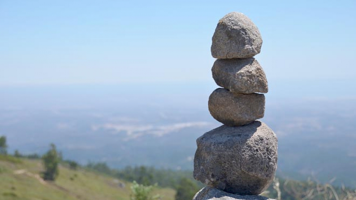 Presto Web Design | Planning A New Website - Part 5: Project Milestones