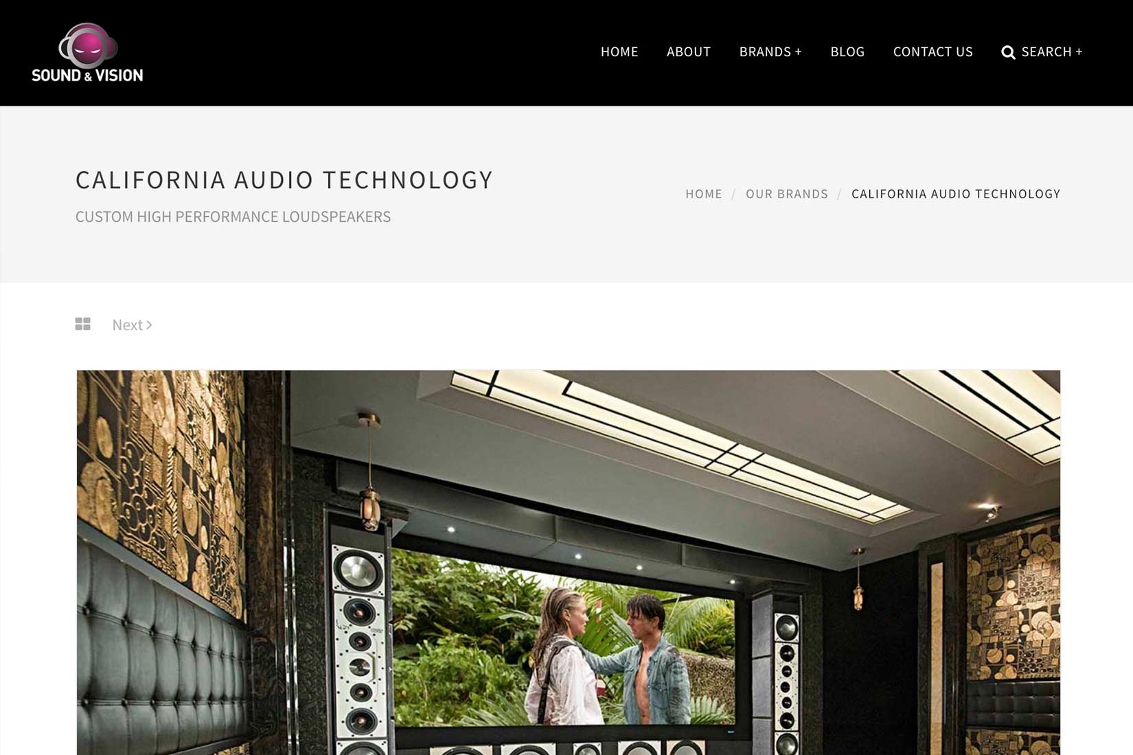 Sound & Vision India - Brand Page by Presto Web Design